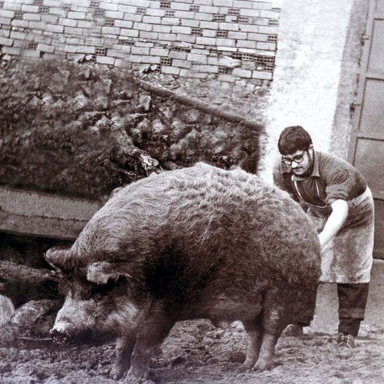 Historia